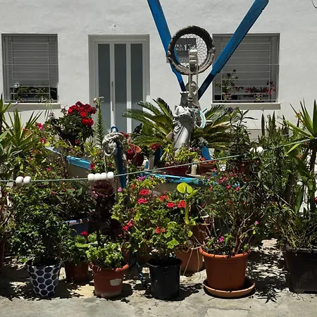 Nuevo Estudio Extramuros Conil De La Frontera